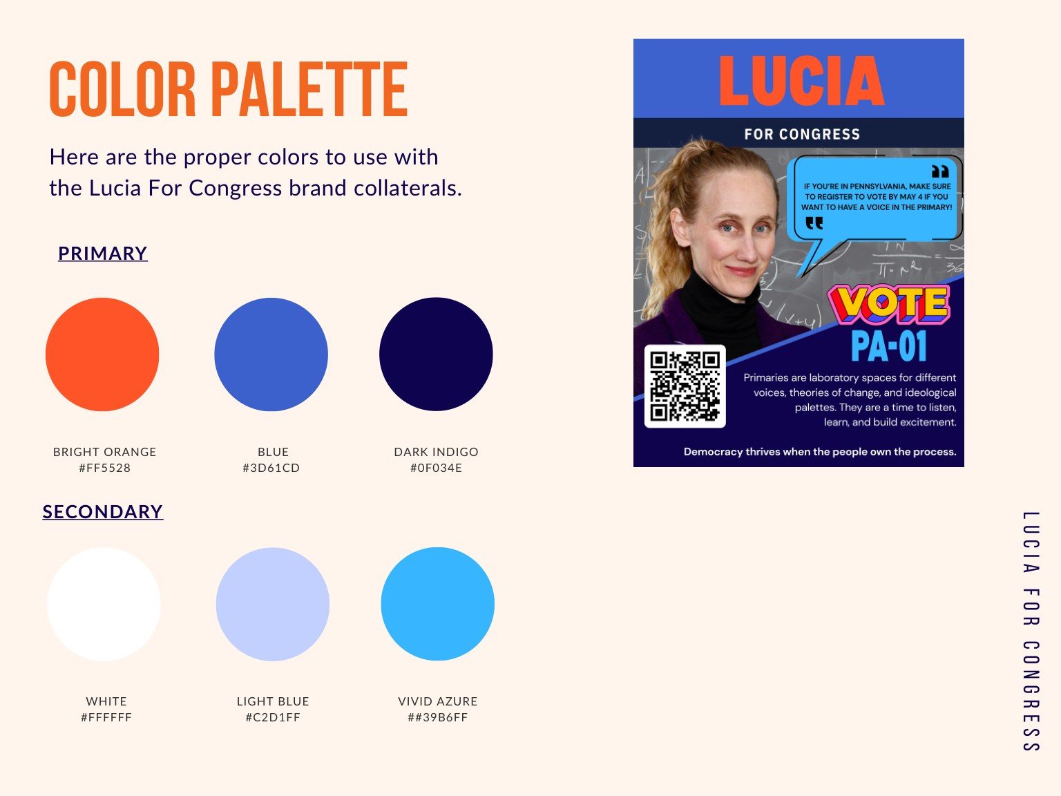 Lucia for Congress brand color palette